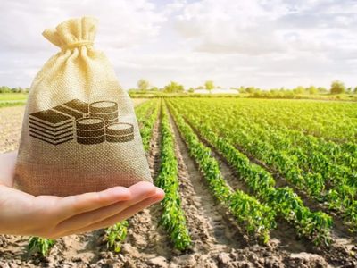 ۸۵۰ میلیارد تومان خسارت کشاورزی گلستان جبران شد