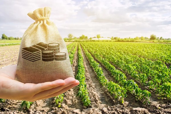 ۸۵۰ میلیارد تومان خسارت کشاورزی گلستان جبران شد