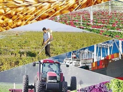 ضرب‌الاجل کمیسیون اصل نود برای شفاف‌سازی نرخ محصولات راهبردی