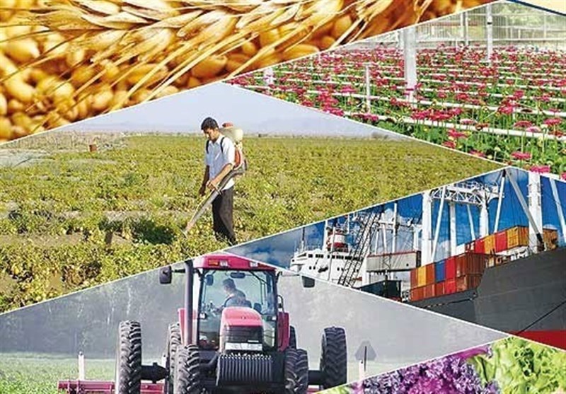 ضرب‌الاجل کمیسیون اصل نود برای شفاف‌سازی نرخ محصولات راهبردی