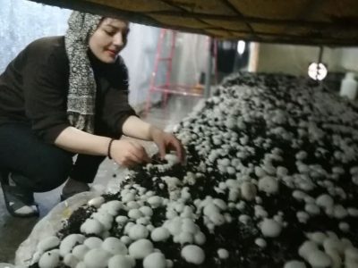 کارآفرینی از خانه تا رسیدن به رویایی بزرگ