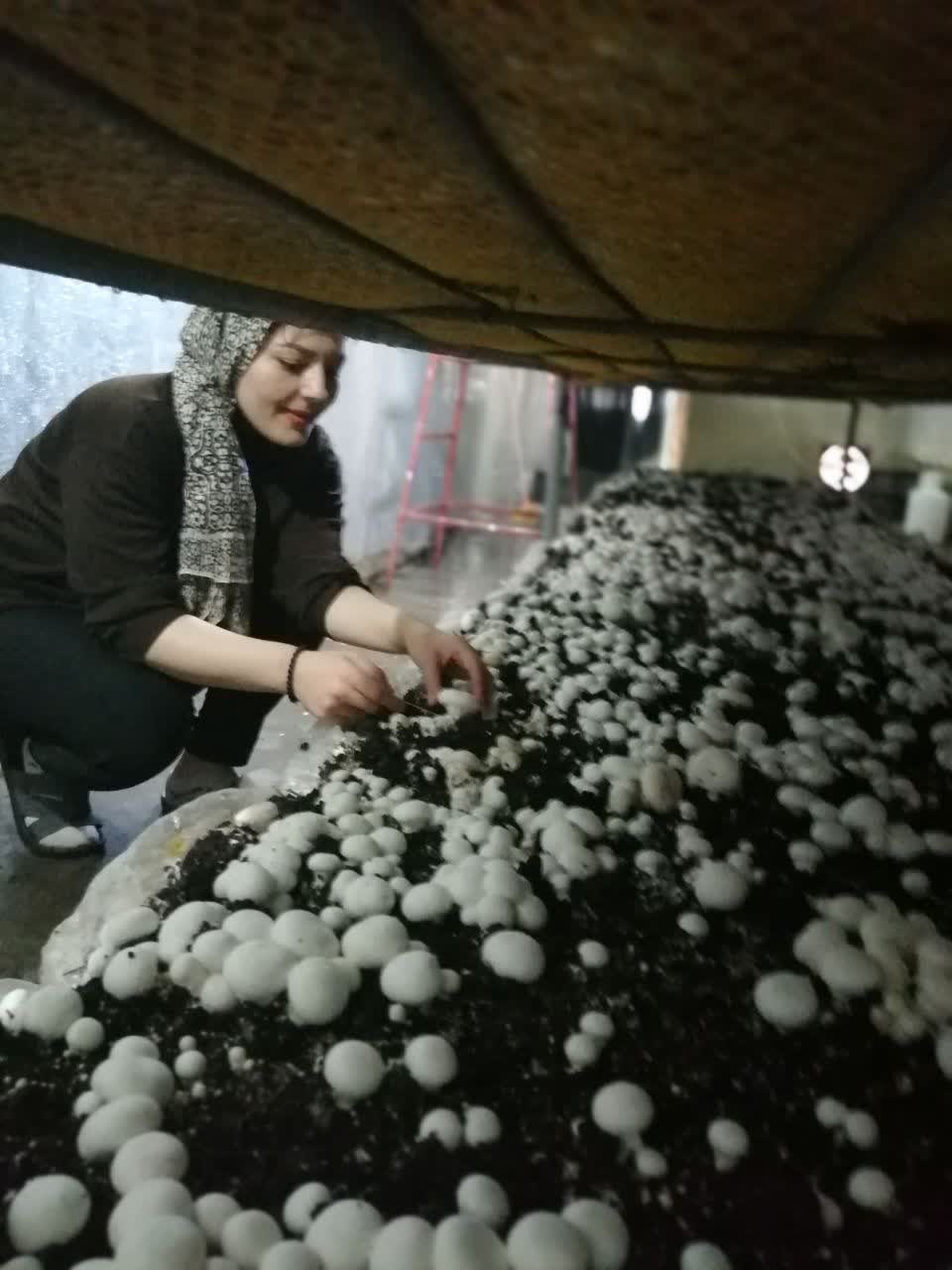 کارآفرینی از خانه تا رسیدن به رویایی بزرگ