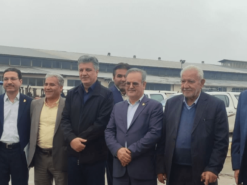 کاهش وابستگی به بذر وارداتی با تکیه بر توان داخلی