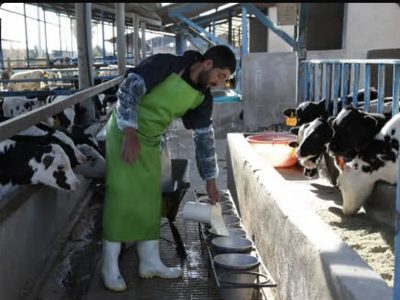 دستور قضایی برای رفع موانع ۳۰ واحد تولیدی در گرگان