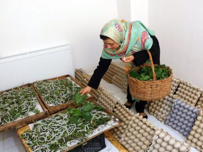 ۵۸ همت برای اشتغال زنان؛ ضمانت دولتی برای بانوان سرپرست خانوار