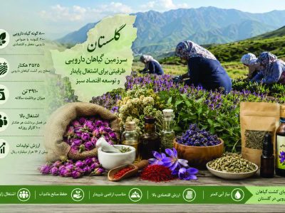 گیاهان دارویی؛ نسخه نجات اقتصاد روستاهای گلستان