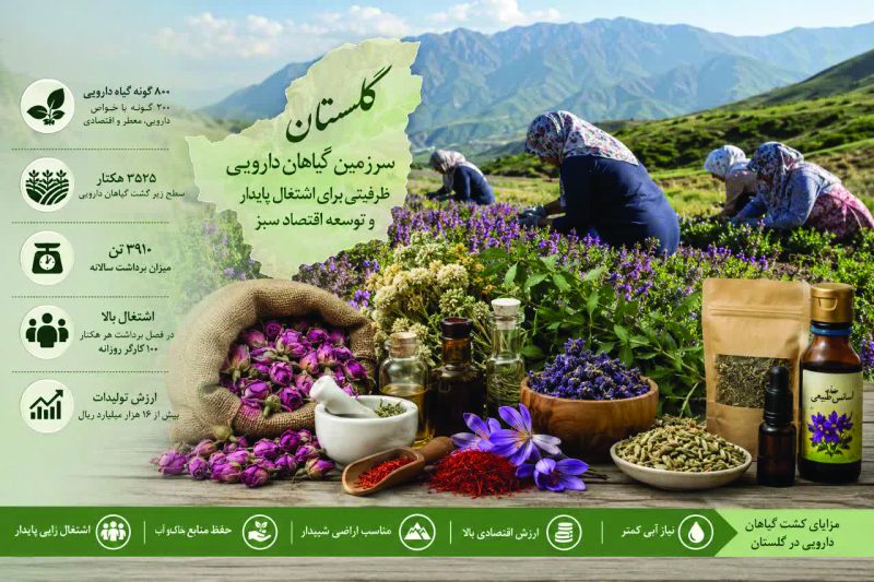 گیاهان دارویی؛ نسخه نجات اقتصاد روستاهای گلستان