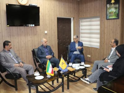 گام تازه گلستان برای حکمرانی داده‌محور؛ اطلاعات برق به کدپستی متصل می‌شود