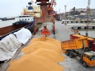 ۴۲۶ هزار تن ذرت از بنادر برزیل به مقصد ایران بارگیری شد
