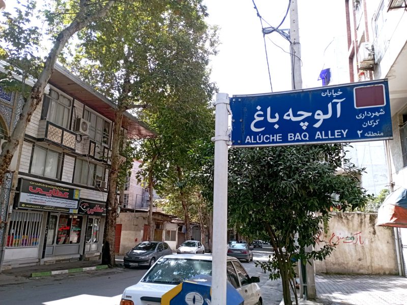 آلوچه‌باغ کجاست؟ ردپای گرگان در داستان نادر ابراهیمی