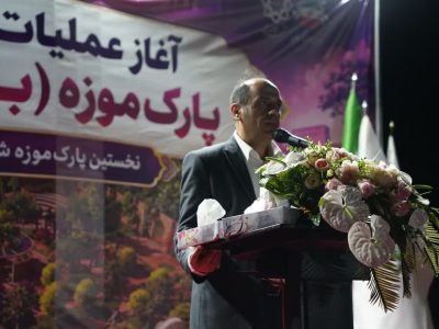 سرانه فضای سبز در محدوده مرکزی شهر مطلوب نیست