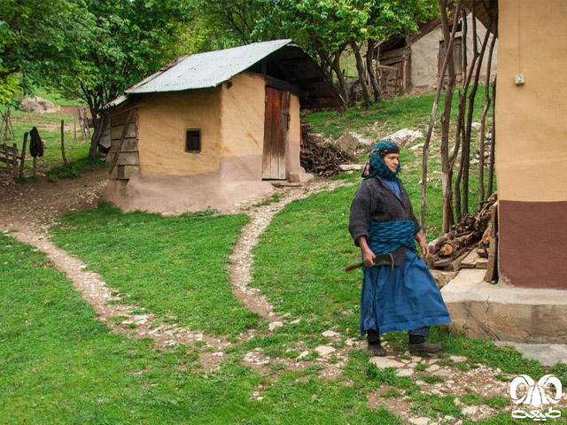 از ظرفیتهای اقتصادی تا درآمد پایدار