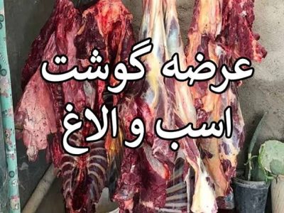 مجوز ذبح و فروش گوشت الاغ و اسب؛ واقعیت یا جو روانی؟